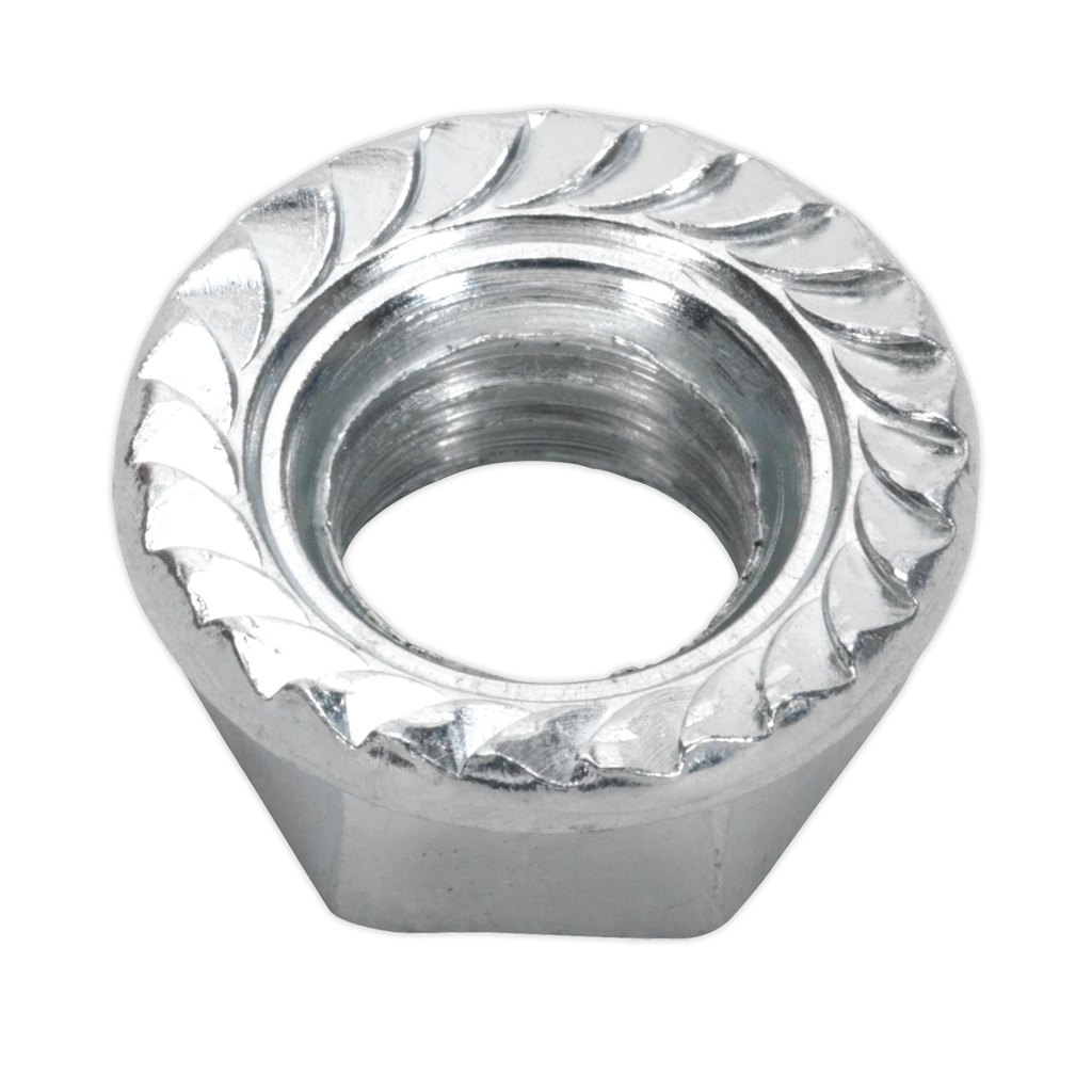 Zinc Plated Serrated Flange Nut M10 - Pack of 100 FN10