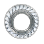 Zinc Plated Serrated Flange Nut M10 - Pack of 100 FN10