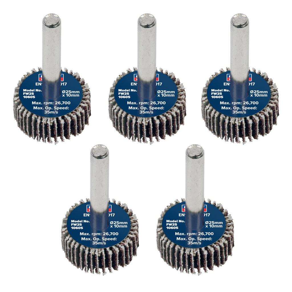25 x 10mm Abrasive Flap Wheel with 6mm Shaft 60Grit - Pack of 5 FW2510605