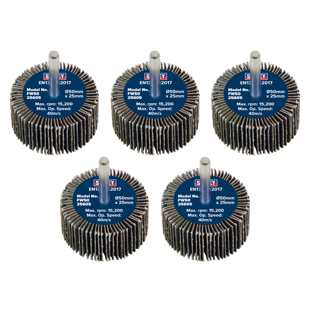 50 x 25mm Abrasive Flap Wheel with 6mm Shaft 60Grit - Pack of 5 FW5025605
