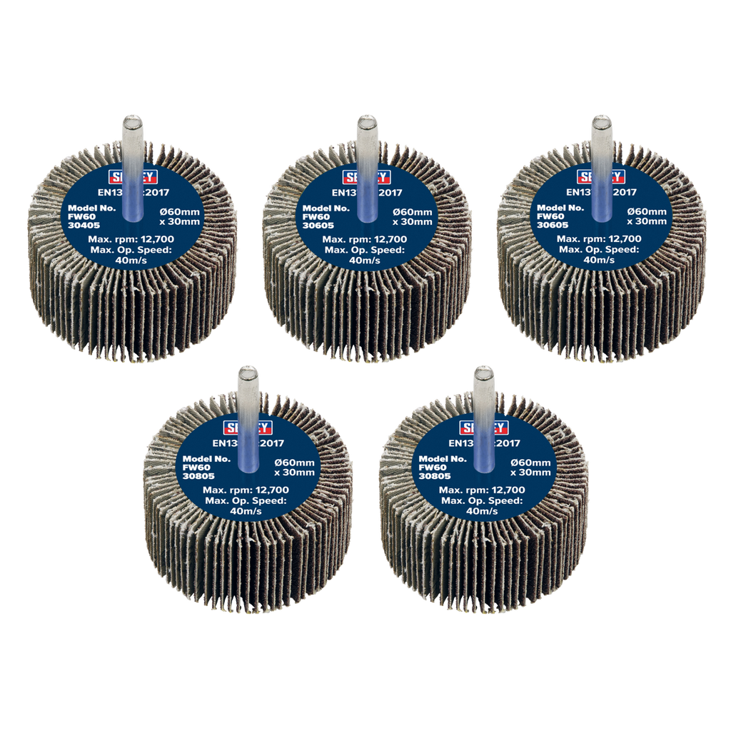 60 x 30mm Abrasive Flap Wheel on 6mm Shaft Assorted Grit - Pack of 5 FW6030ASS