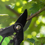 Bypass Secateurs with Soft Grip Handle, Safety Lock & Carbon Steel Blade GTSG001