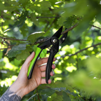 Anvil Secateurs with Soft Grip Handle, Safety Lock & Carbon Steel Blade GTSG002