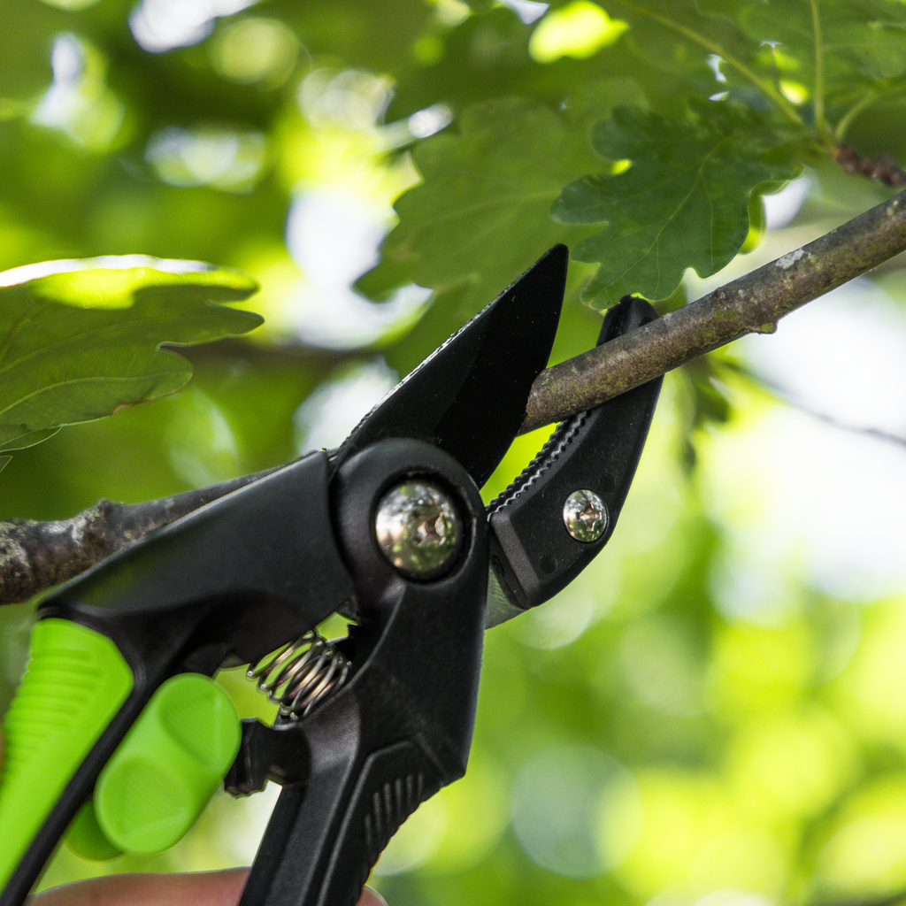Anvil Secateurs with Soft Grip Handle, Safety Lock & Carbon Steel Blade GTSG002