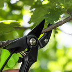 Anvil Secateurs with Soft Grip Handle, Safety Lock & Carbon Steel Blade GTSG002