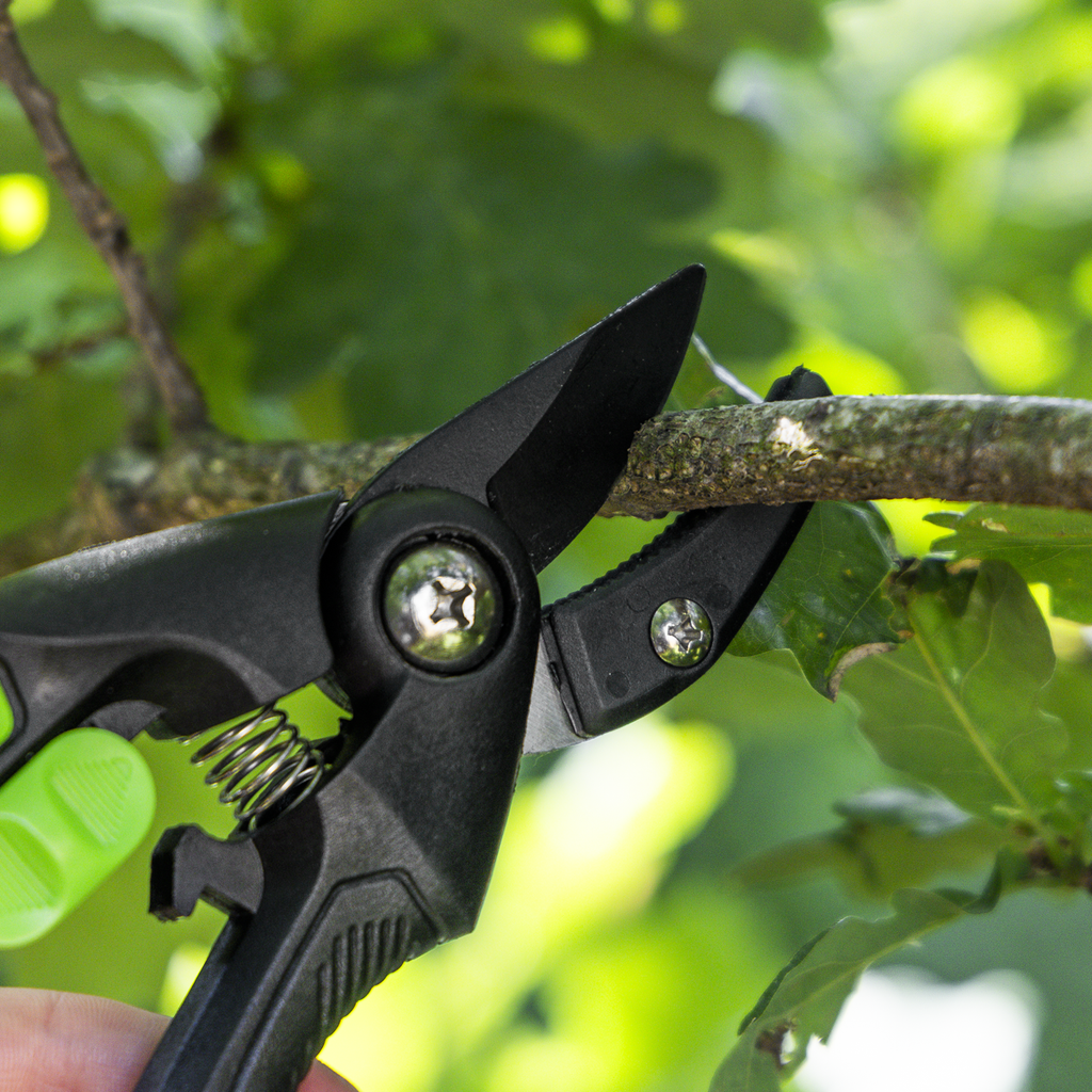 Anvil Secateurs with Soft Grip Handle, Safety Lock & Carbon Steel Blade GTSG002