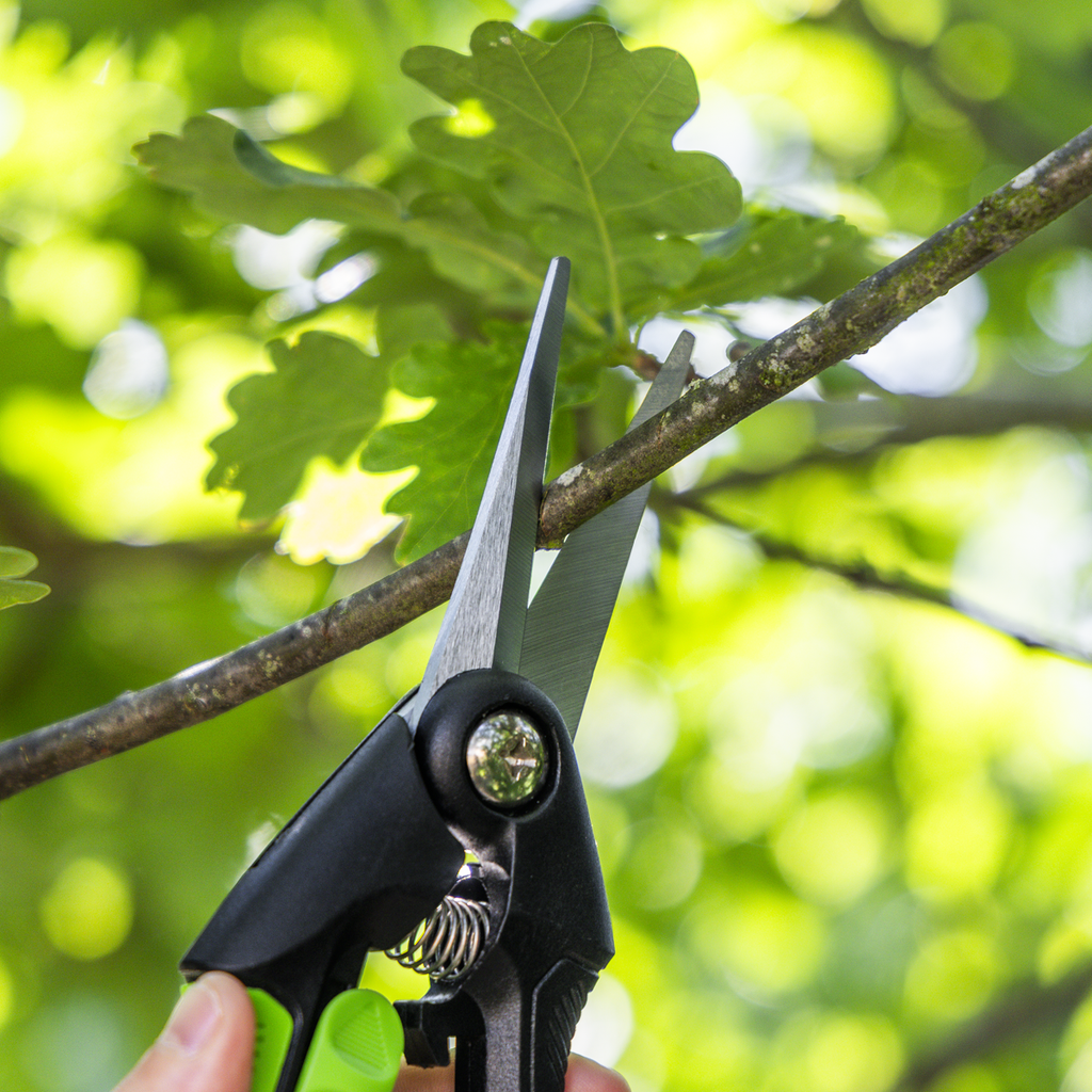 Pruning Snips with Soft Grip Handle & Carbon Steel Blade GTSG003