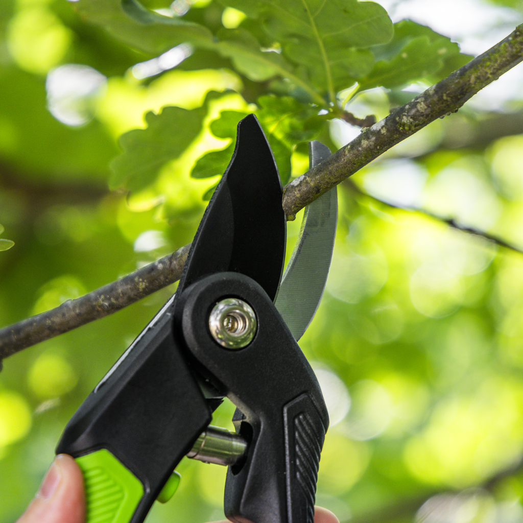 Bypass Secateurs with Soft Grip Handle, 3-Stage Safety Lock & Carbon Steel Blade GTSG004