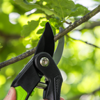 Bypass Secateurs with Soft Grip Handle, 3-Stage Safety Lock & Carbon Steel Blade GTSG004