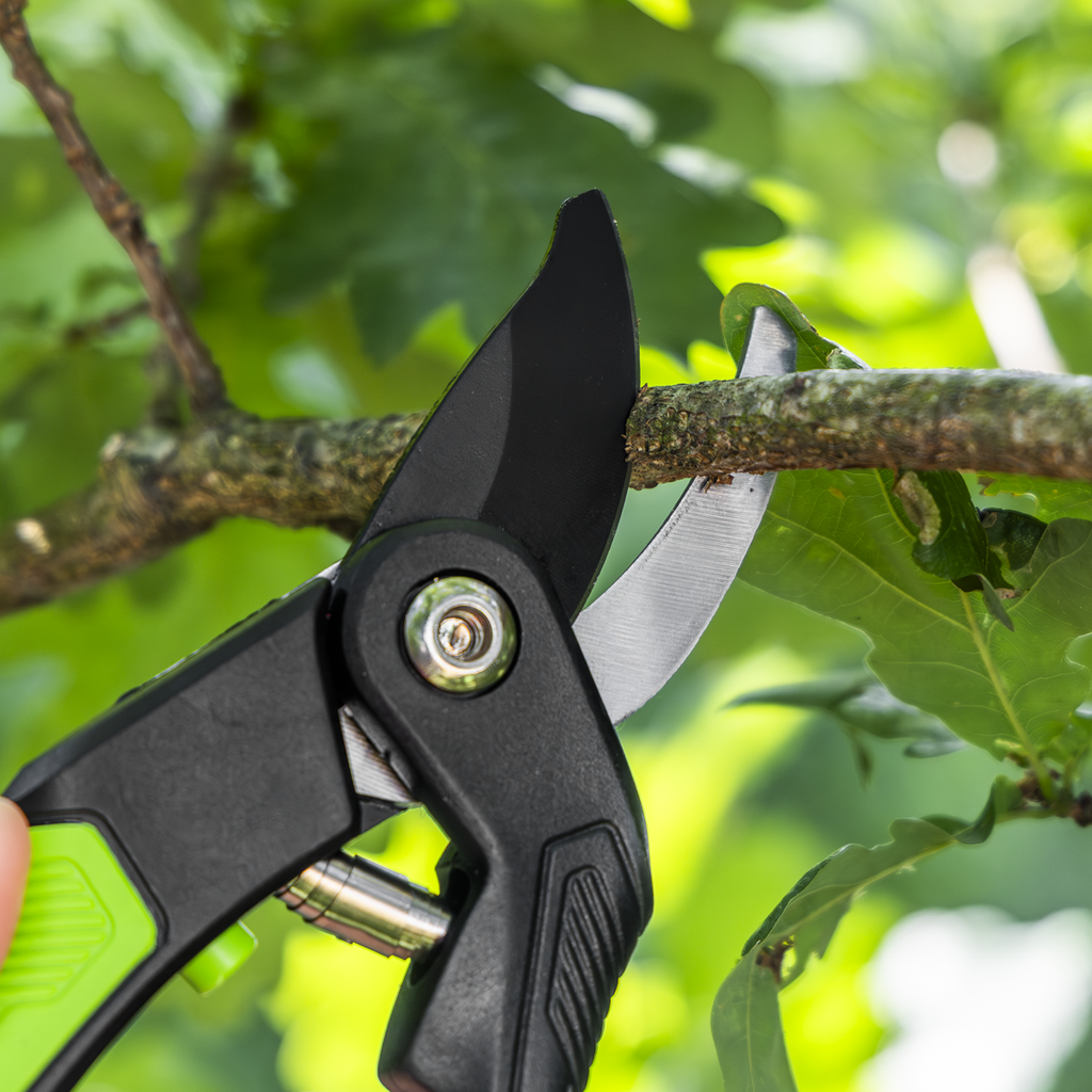 Bypass Secateurs with Soft Grip Handle, 3-Stage Safety Lock & Carbon Steel Blade GTSG004