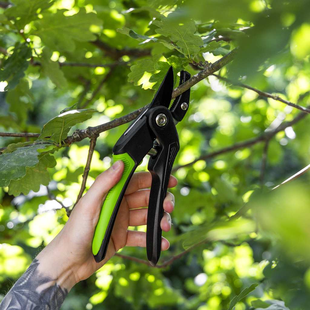 Anvil Secateurs with Soft Grip Handle, 3-Stage Safety Lock & Carbon Steel Blade GTSG005