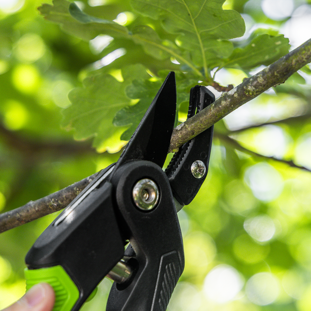 Anvil Secateurs with Soft Grip Handle, 3-Stage Safety Lock & Carbon Steel Blade GTSG005