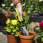 Hand Transplanter with Soft Grip Handle & Stainless Steel Blade GTSG009