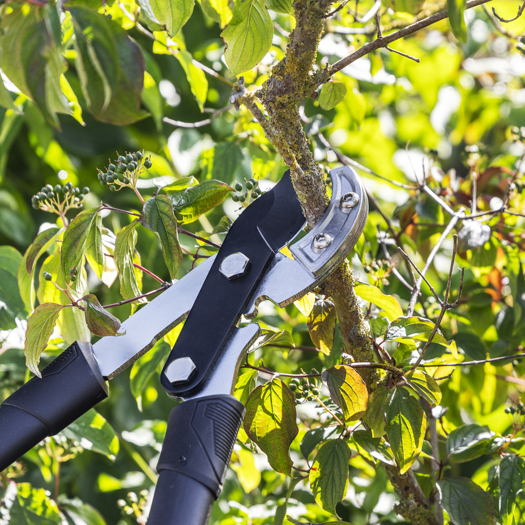 Anvil Lopping Shears with Soft Grip Handle, Geared & Carbon Steel Blade GTSG015