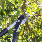 Anvil Lopping Shears with Soft Grip Handle, Geared & Carbon Steel Blade GTSG015