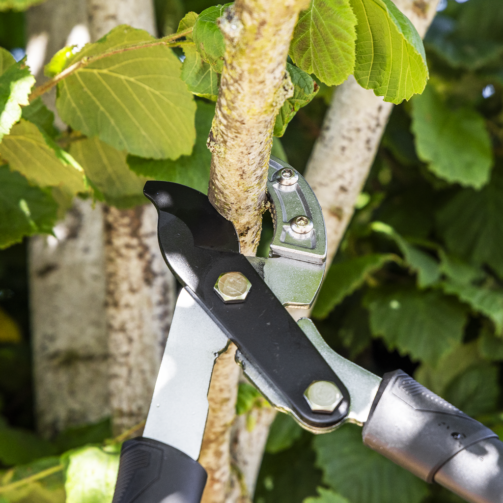 Anvil Lopping Shears with Soft Grip Handle, Geared & Carbon Steel Blade GTSG015