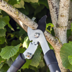 Telescopic Bypass Lopping Shears with Soft Grip Handle, Geared & Carbon Steel Blade GTSG016