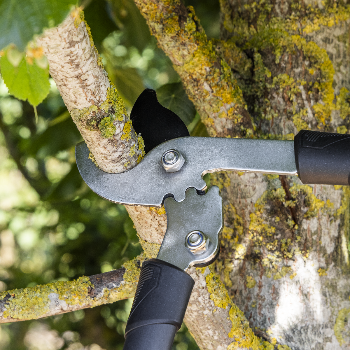 Telescopic Bypass Lopping Shears with Soft Grip Handle, Geared & Carbon Steel Blade GTSG016