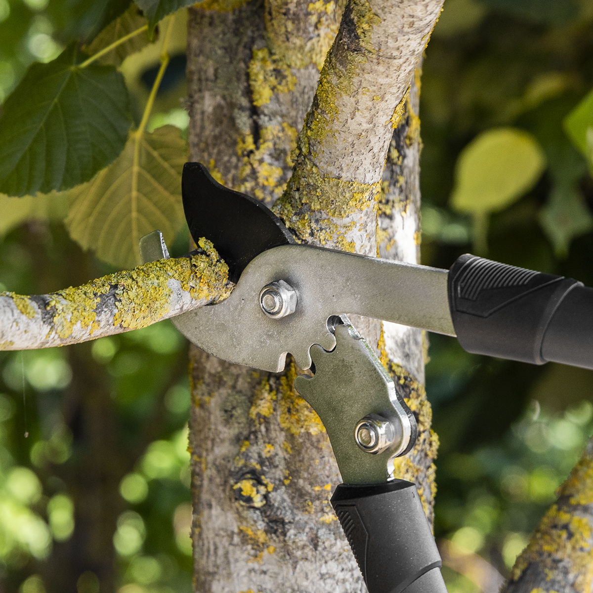 Telescopic Bypass Lopping Shears with Soft Grip Handle, Geared & Carbon Steel Blade GTSG016