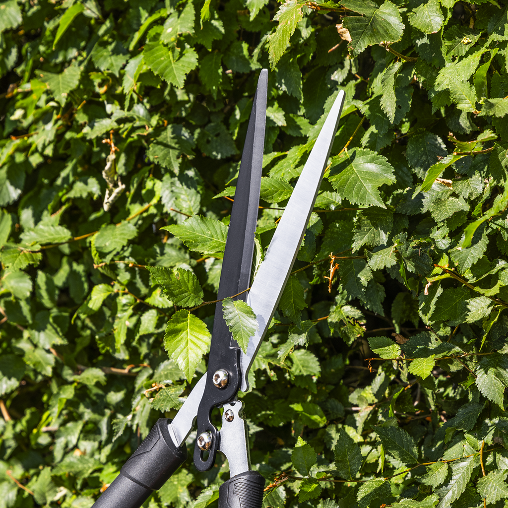 Hedge Shears with Soft Grip Handle & Carbon Steel Blade GTSG018