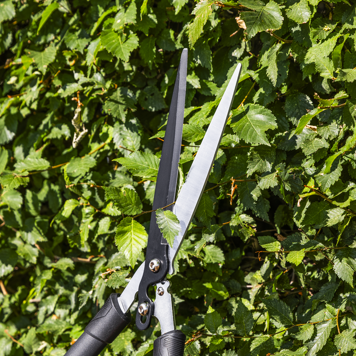 Hedge Shears with Soft Grip Handle & Carbon Steel Blade GTSG018