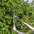 Hedge Shears with Soft Grip Handle & Carbon Steel Blade GTSG018
