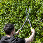 Hedge Shears with Soft Grip Handle & Carbon Steel Blade GTSG018
