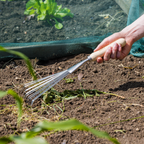 Leaf Hand Rake with Ash Handle & Stainless Steel Tines GTWH001