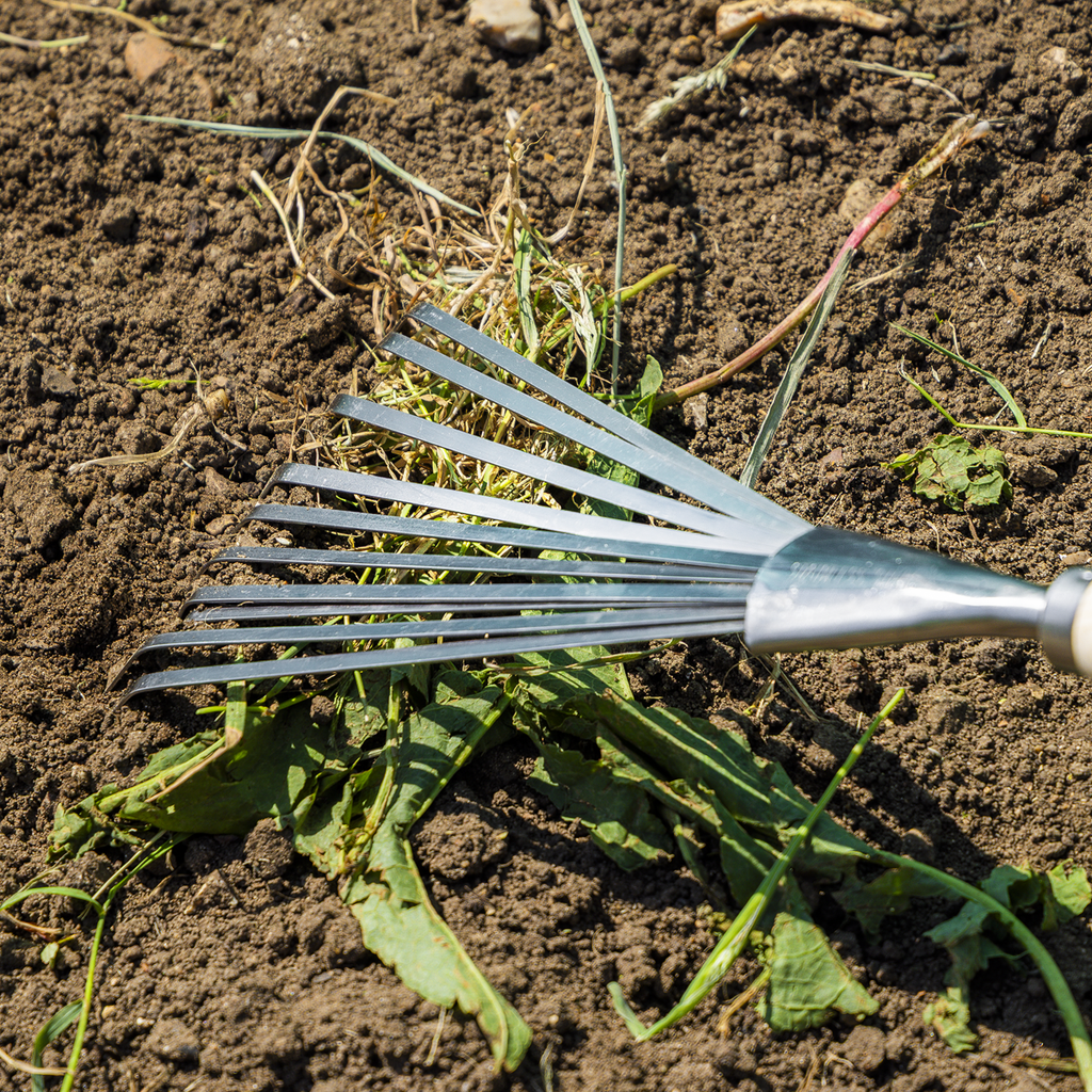 Leaf Hand Rake with Ash Handle & Stainless Steel Tines GTWH001