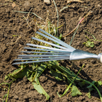 Leaf Hand Rake with Ash Handle & Stainless Steel Tines GTWH001