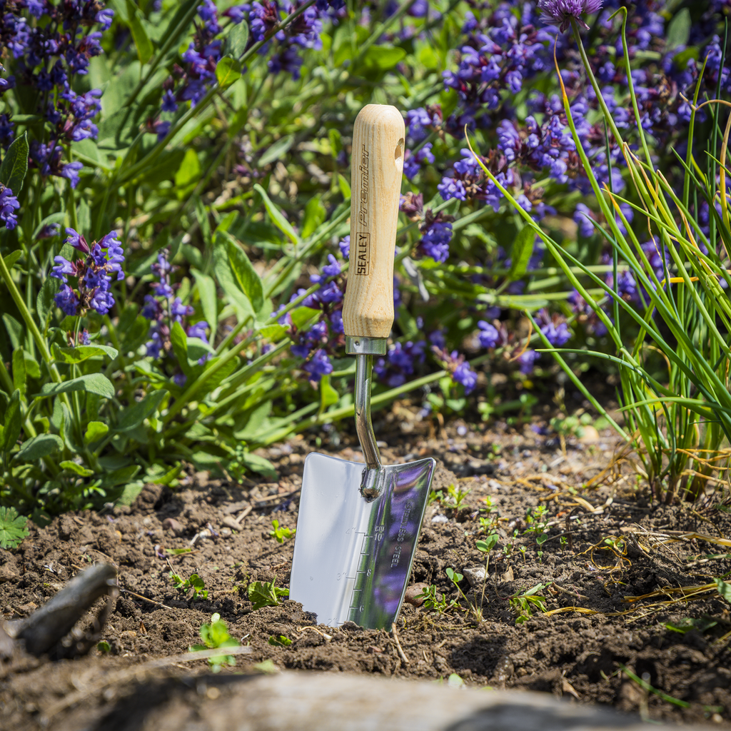 Hand Trowel with Ash Handle & Stainless Steel Blade GTWH003