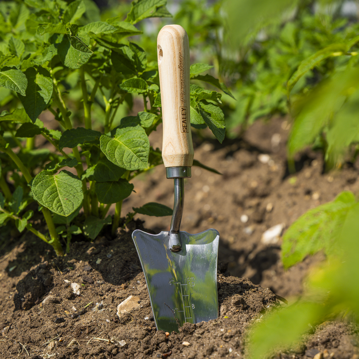 Slim Head Trowel with Ash Handle & Stainless Steel Blade GTWH004