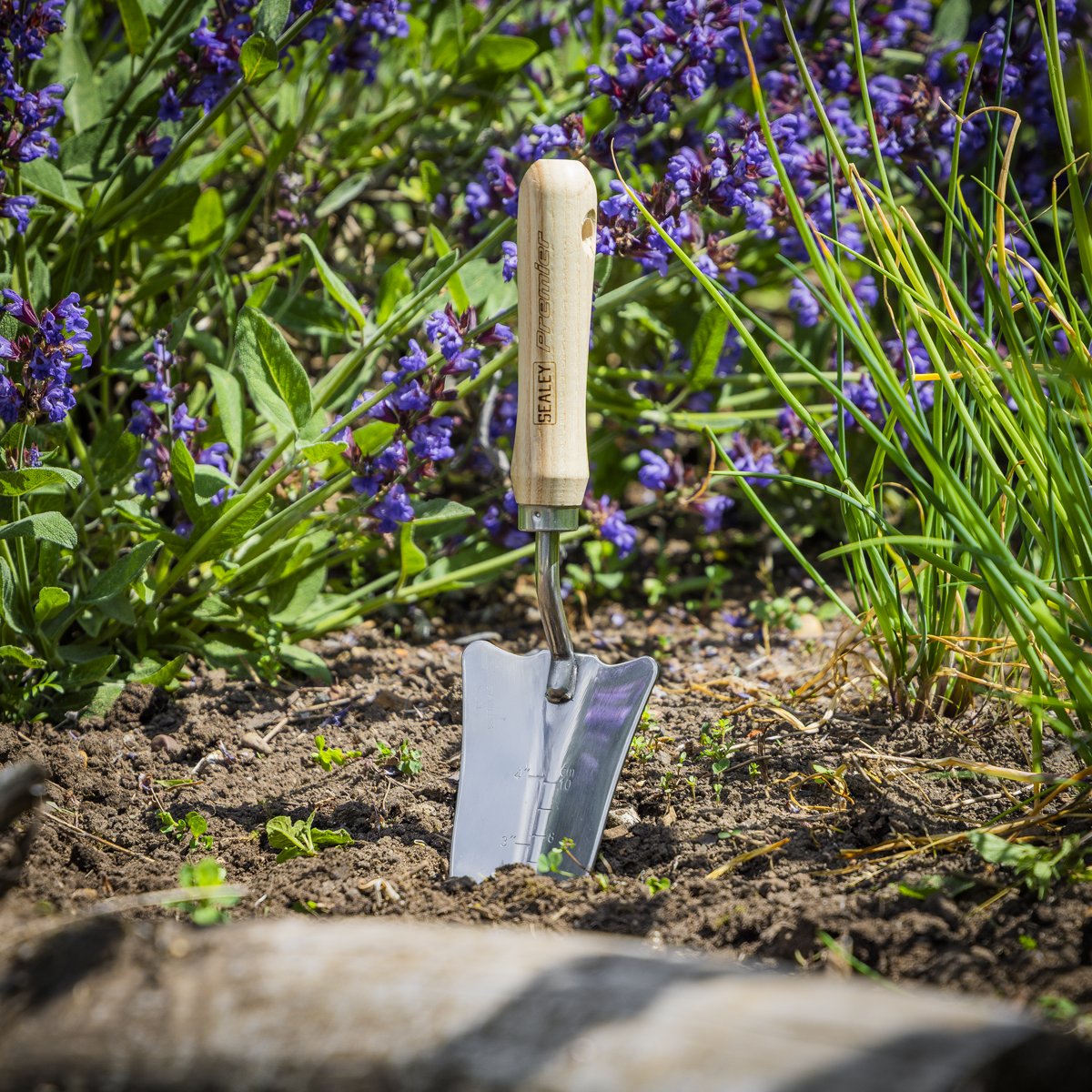 Slim Head Trowel with Ash Handle & Stainless Steel Blade GTWH004