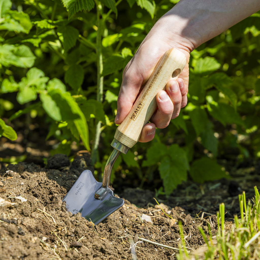 Slim Head Trowel with Ash Handle & Stainless Steel Blade GTWH004