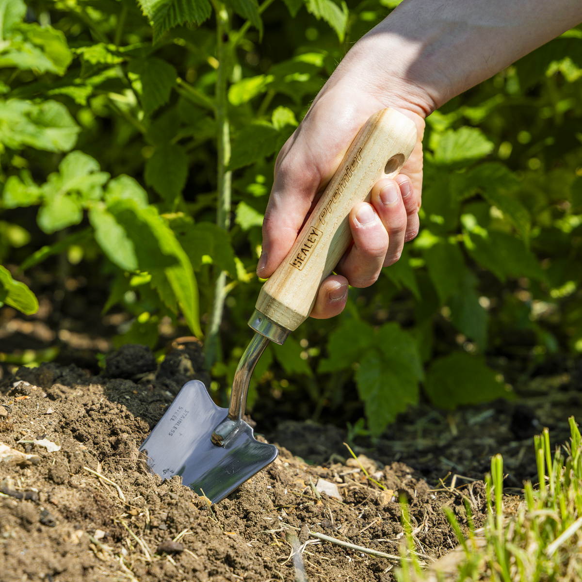 Slim Head Trowel with Ash Handle & Stainless Steel Blade GTWH004