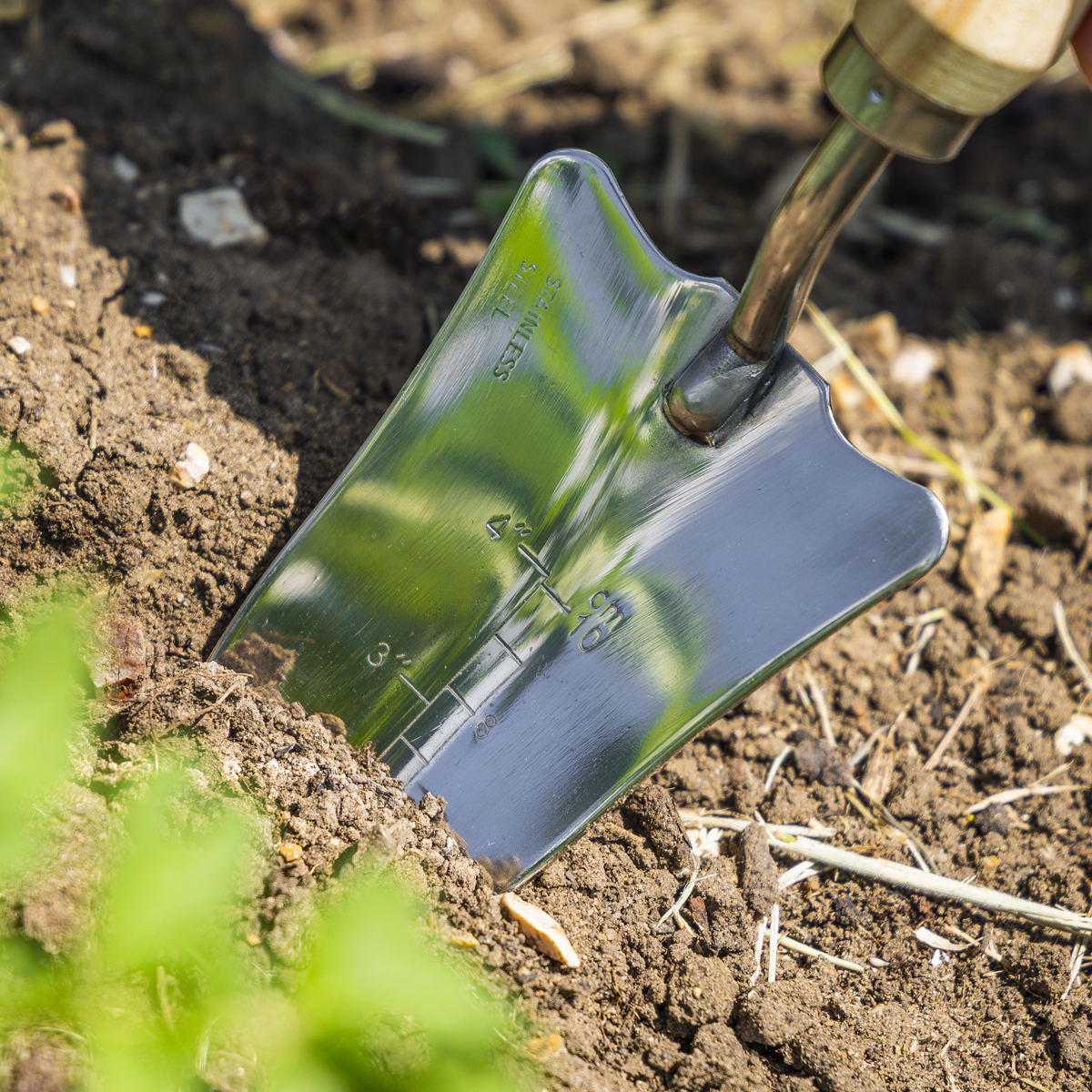 Slim Head Trowel with Ash Handle & Stainless Steel Blade GTWH004