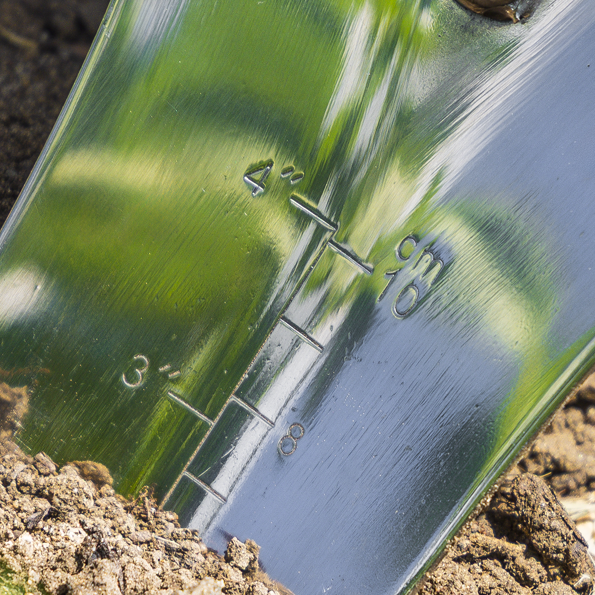 Slim Head Trowel with Ash Handle & Stainless Steel Blade GTWH004