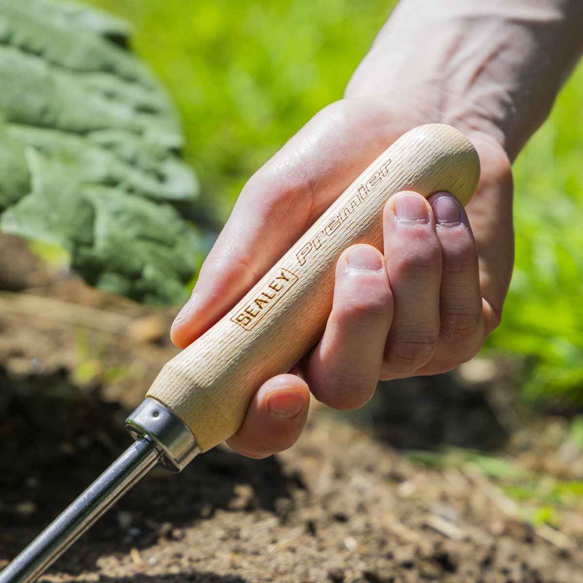 Cultivator with Short Ash Handle & Stainless Steel Tines GTWH005