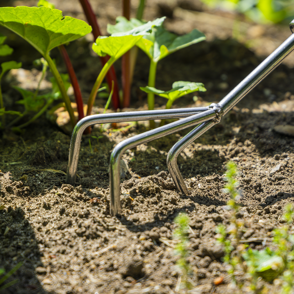 Cultivator with Short Ash Handle & Stainless Steel Tines GTWH005