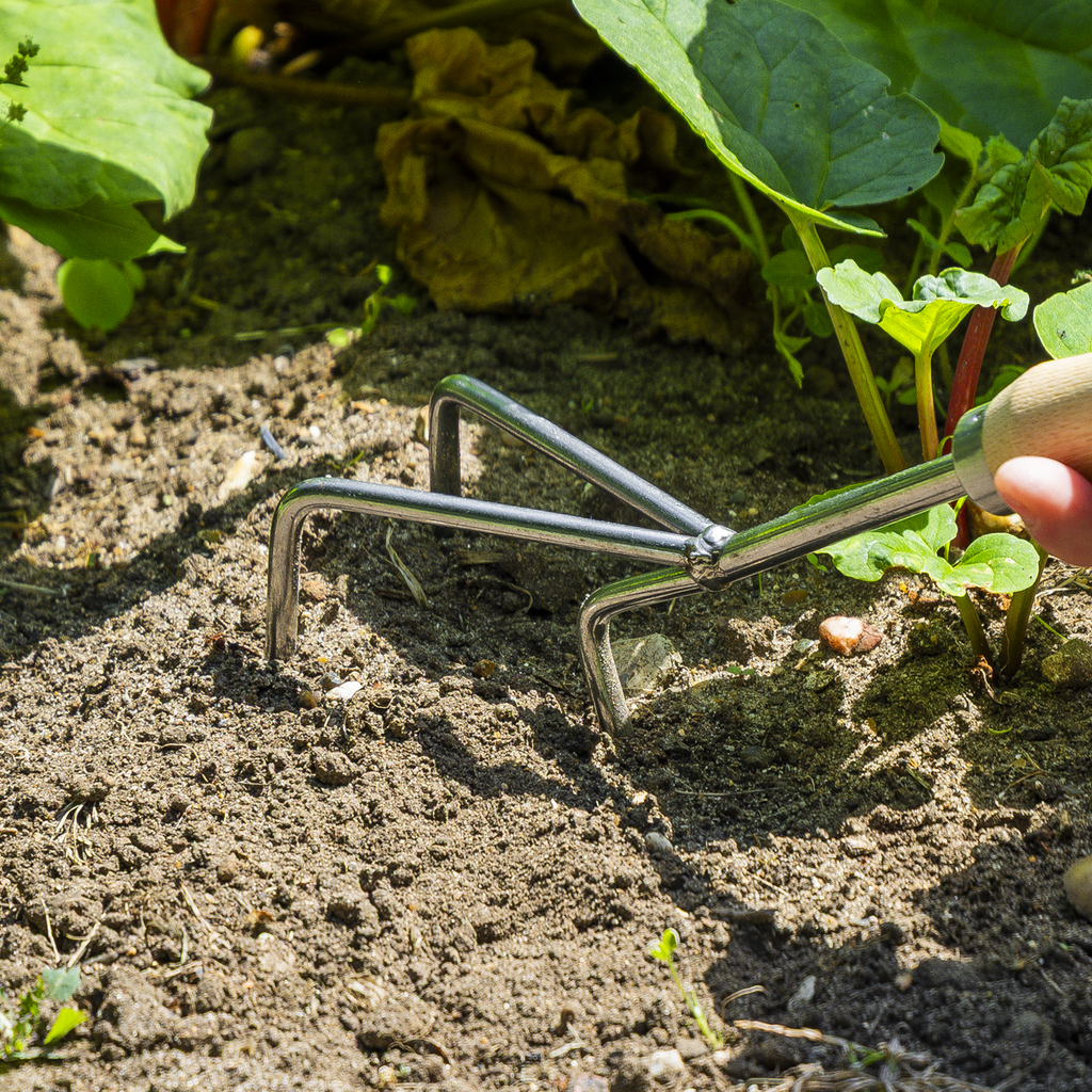 Cultivator with Short Ash Handle & Stainless Steel Tines GTWH005