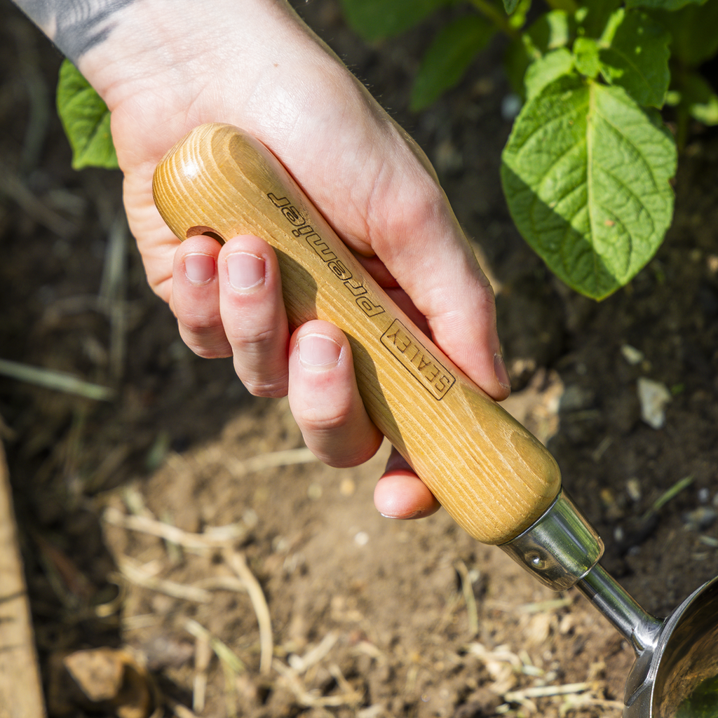 Garden Scoop with Ash Handle & Stainless Steel Head GTWH006