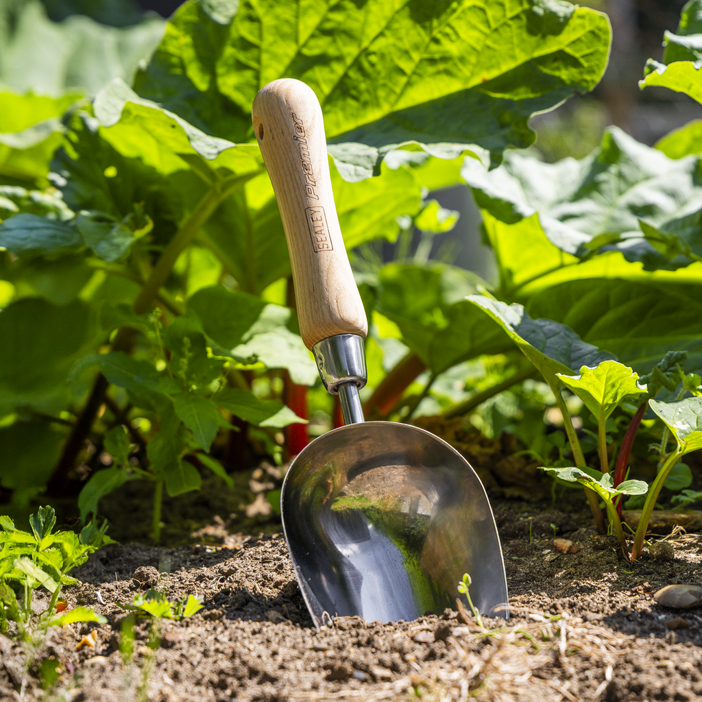 Garden Scoop with Ash Handle & Stainless Steel Head GTWH006
