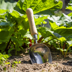 Garden Scoop with Ash Handle & Stainless Steel Head GTWH006