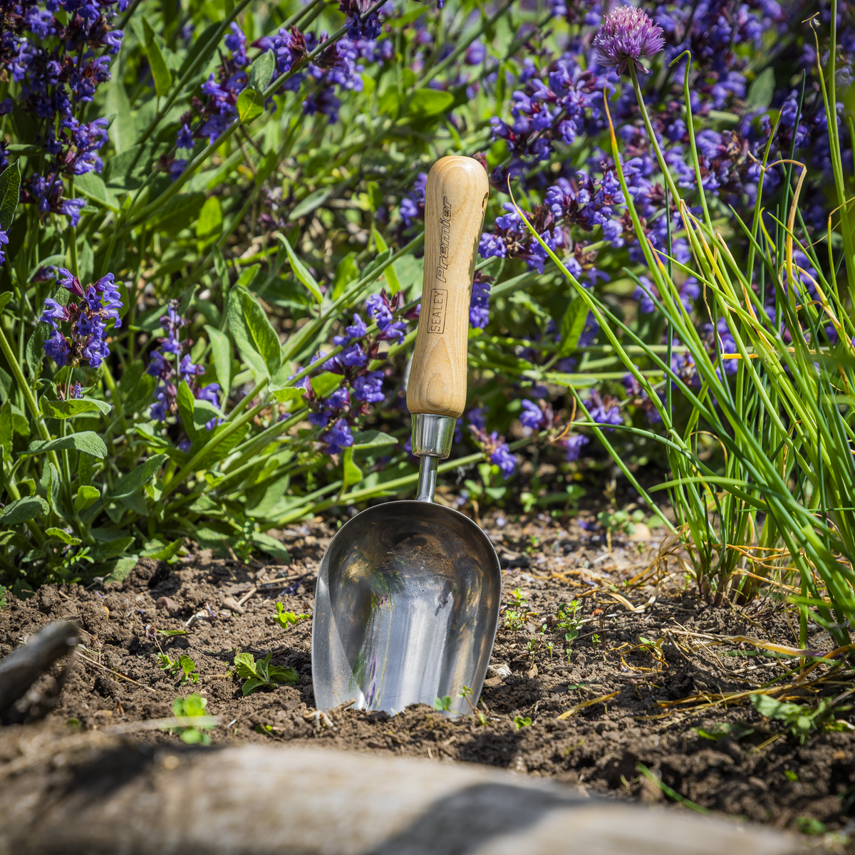 Garden Scoop with Ash Handle & Stainless Steel Head GTWH006