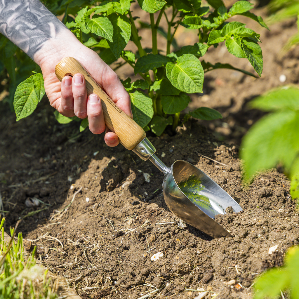 Garden Scoop with Ash Handle & Stainless Steel Head GTWH006