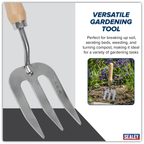 Garden Hand Fork with Ash Handle & Stainless Steel Tines GTWH007