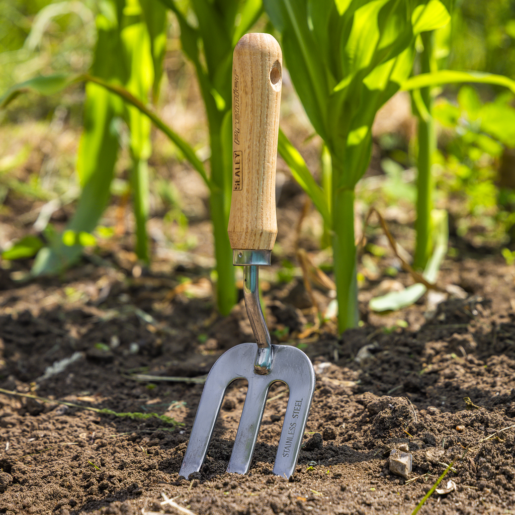 Garden Hand Fork with Ash Handle & Stainless Steel Tines GTWH007