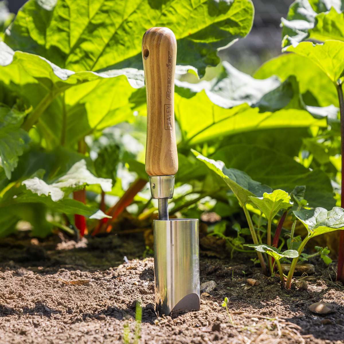 Planter with Ash Handle & Stainless Steel Head GTWH008