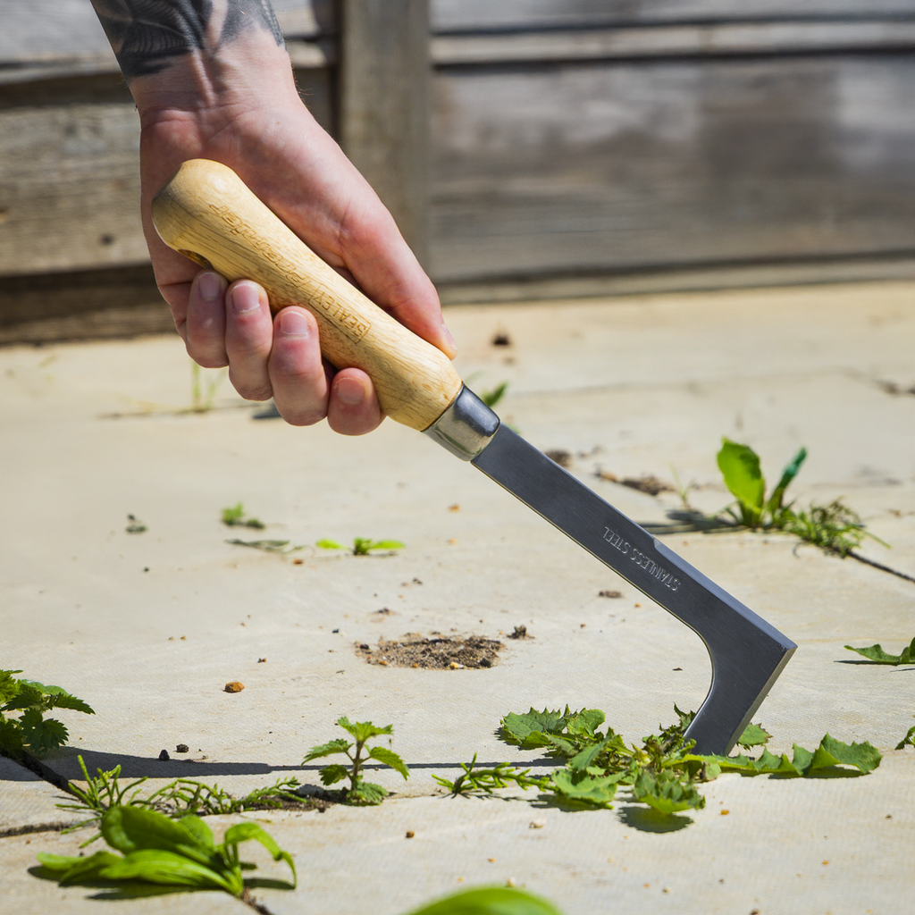 Weeding Knife with Ash Handle & Stainless Steel Blade GTWH009