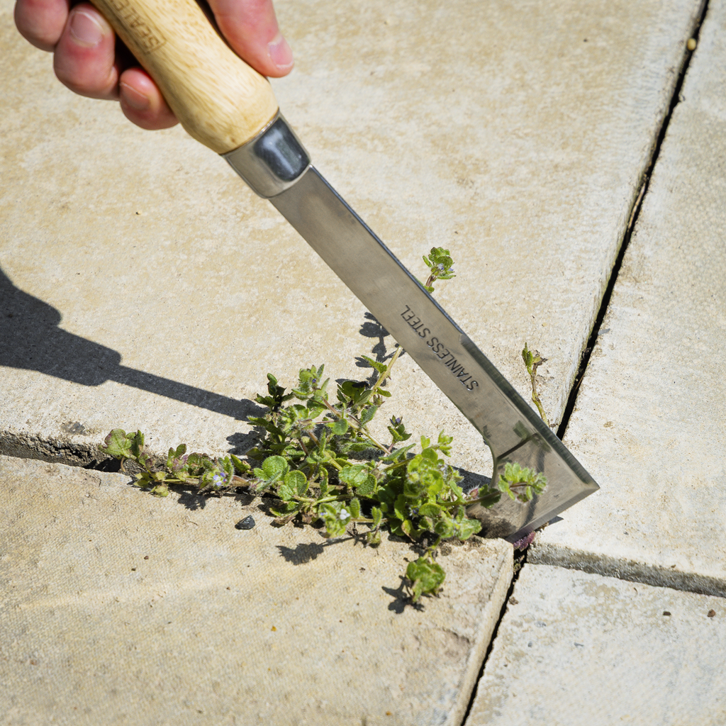 Weeding Knife with Ash Handle & Stainless Steel Blade GTWH009